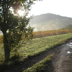 Hébergement de vacances Grange Rénovée En Pleine Nature, Valady